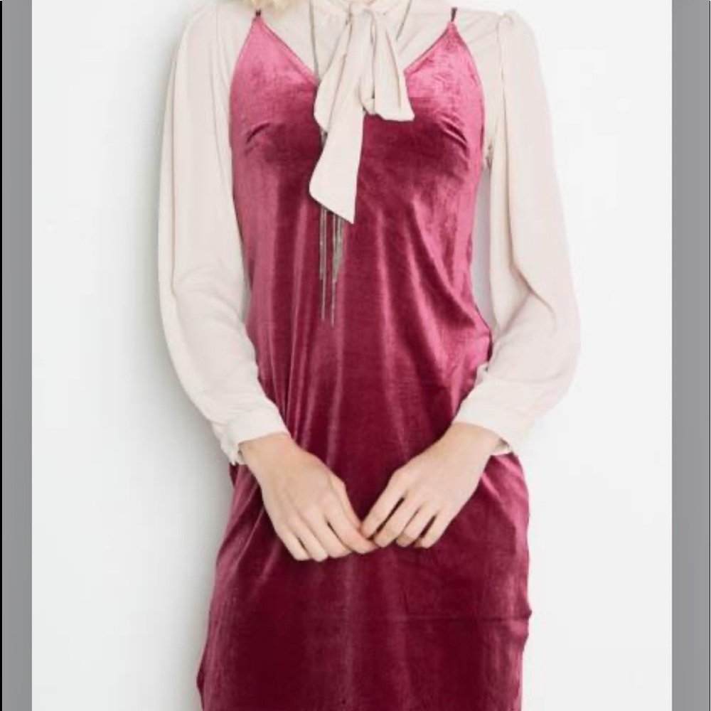 GORGEOUS BOUTIQUE DAINTY VELVET MERLOT SHIFT DRESS